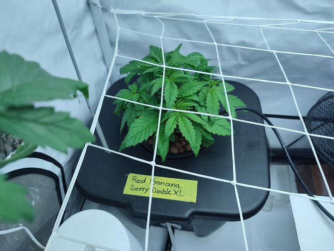 Growreport Bild 20