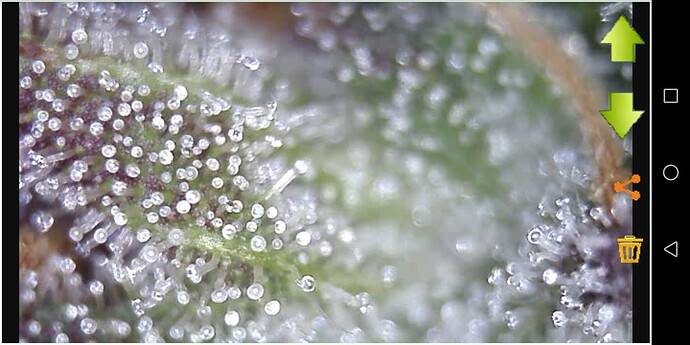 Screenshot_20230608-203832