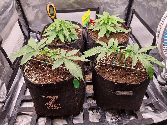 Growreport Bild 10