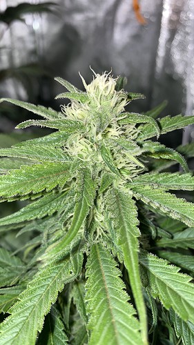 Growreport Bild 22
