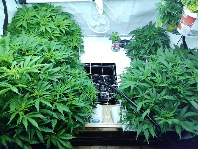 Growreport Bild 12