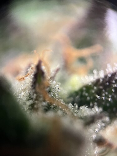 Growreport Bild 21