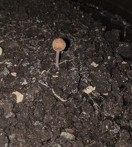 PXL_20231026_100750803