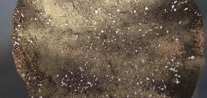 Growreport Bild 8