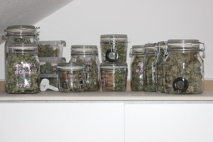 Growreport Bild 1