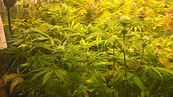 Growreport Bild 11