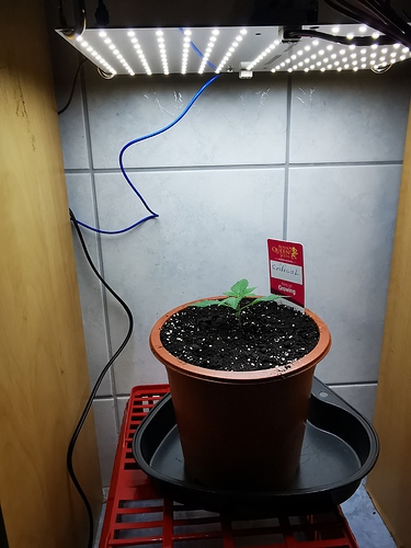 Growreport Bild 3
