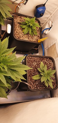 Growreport Bild 10