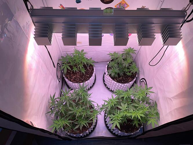 Growreport Bild 2