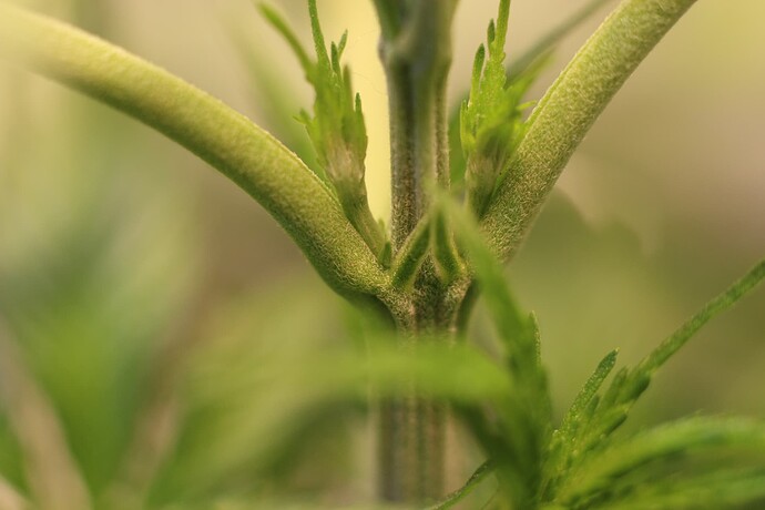 Growreport Bild 24