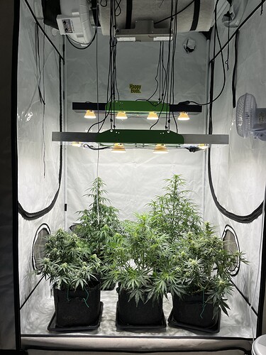 Growreport Bild 16