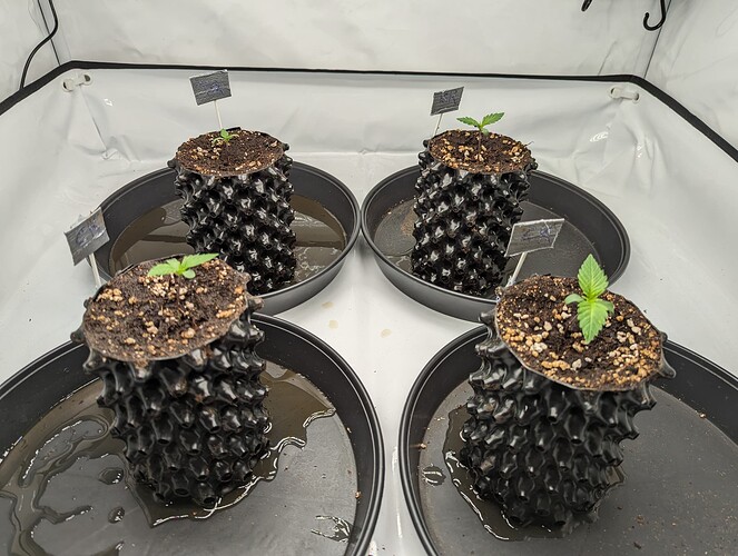 PXL_20231026_131417000