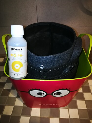 Growreport Bild 1