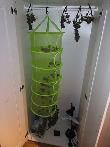 Growreport Bild 1