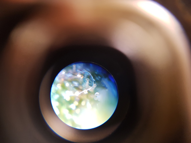 Growreport Bild 7