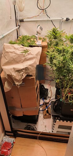 Growreport Bild 24