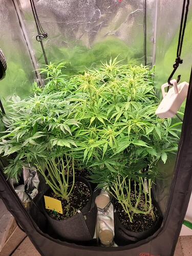 Growreport Bild 8