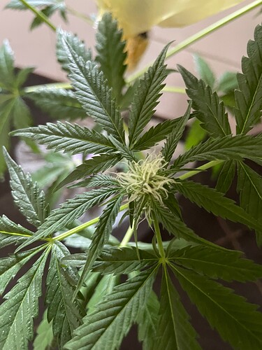 Growreport Bild 15