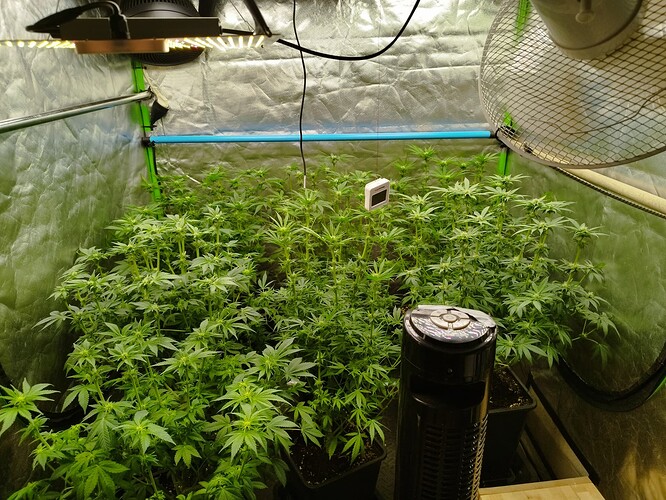 Growreport Bild 6