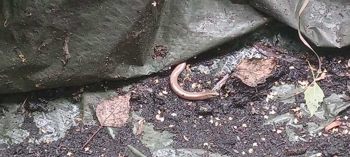 Growreport Bild 9