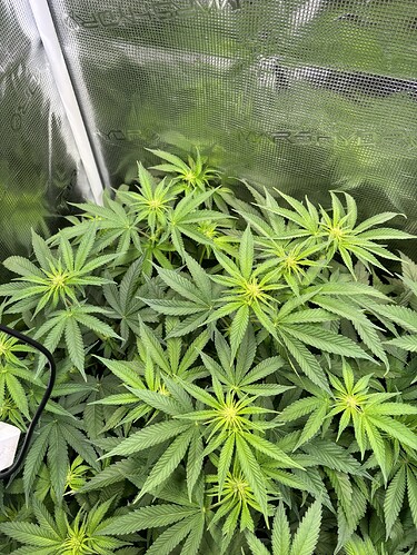 Growreport Bild 9
