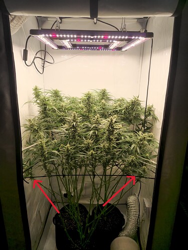 Growreport Bild 11