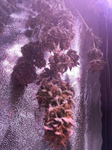 Growreport Bild 10