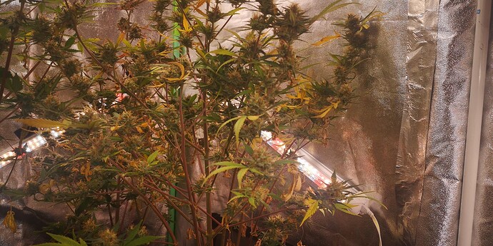 Growreport Bild 7