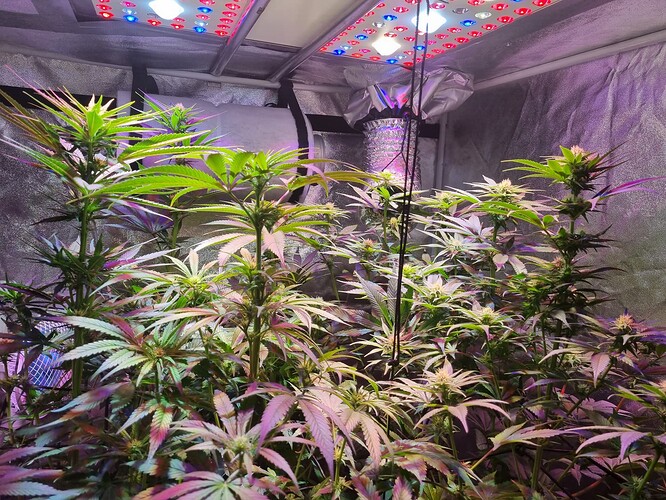 Growreport Bild 6