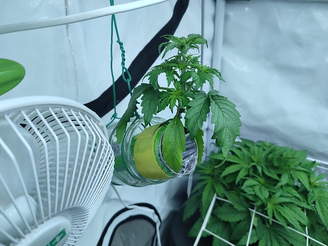 Growreport Bild 6