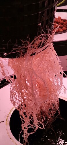 IMG_20220129_125054