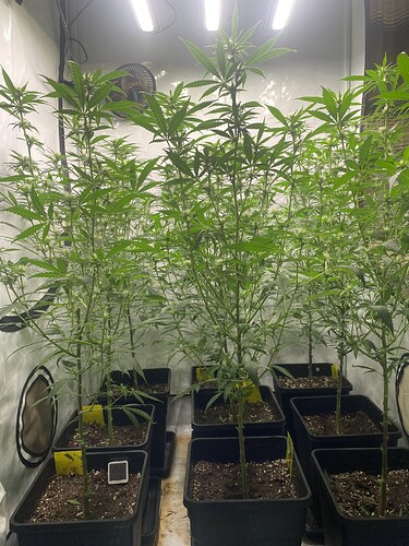 Growreport Bild 7