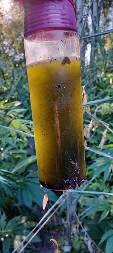 Growreport Bild 3