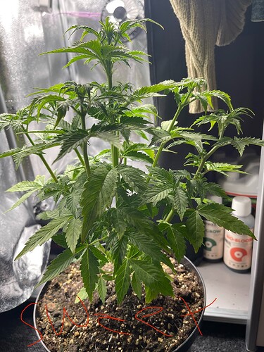 Growreport Bild 23