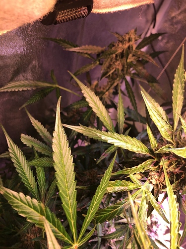 Growreport Bild 24