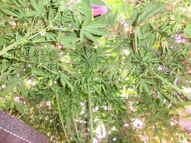 Growreport Bild 6