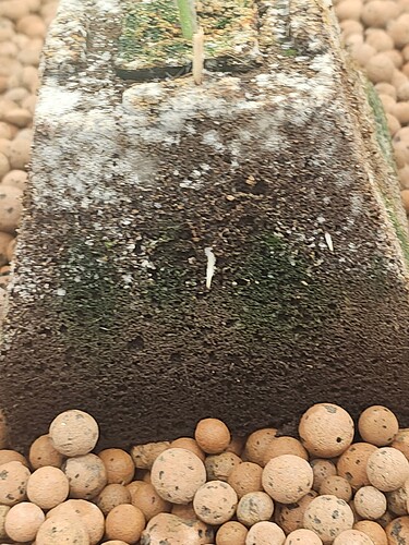 Growreport Bild 12