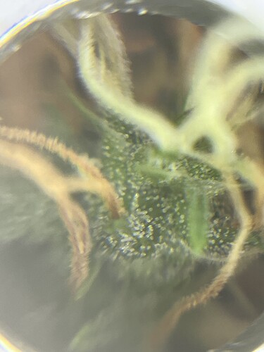 Growreport Bild 22