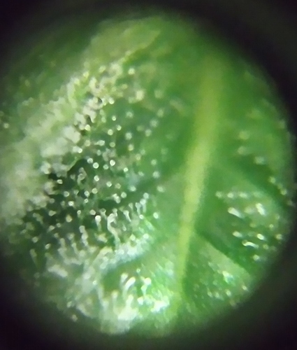 IMG_20200820_225811~3