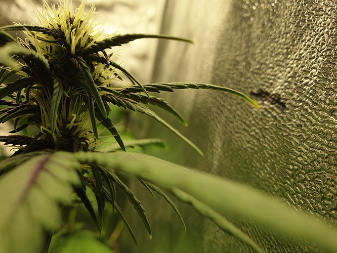 Growreport Bild 11