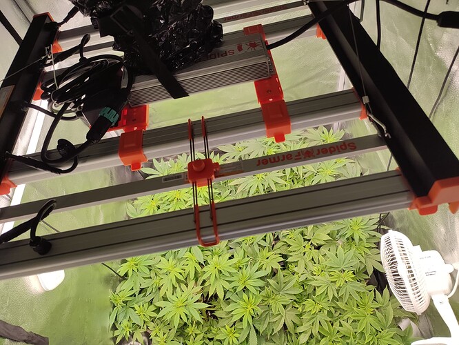 Growreport Bild 10
