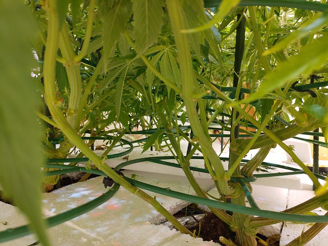 Growreport Bild 14