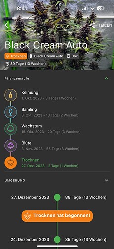 Growreport Bild 2