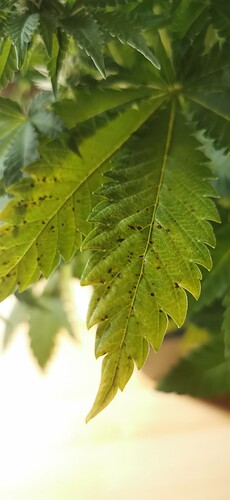 Growreport Bild 21