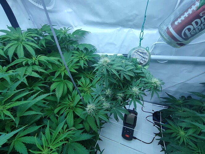 Growreport Bild 57