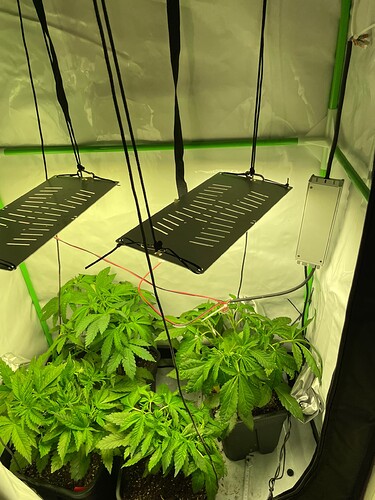 Growreport Bild 4