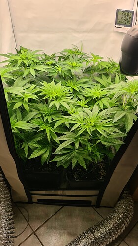Growreport Bild 12