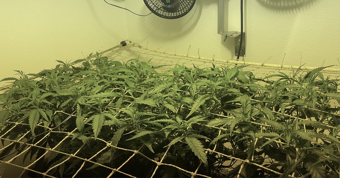Growreport Bild 15