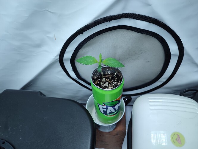 Growreport Bild 23