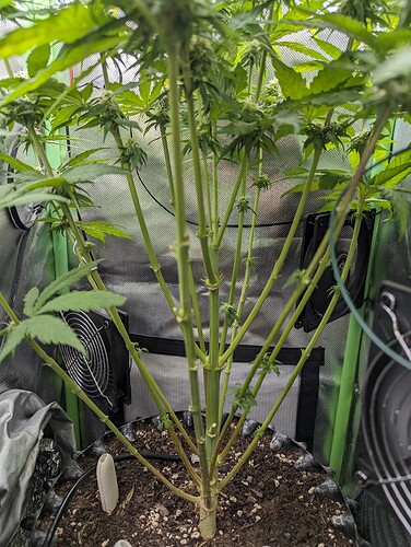 Growreport Bild 1